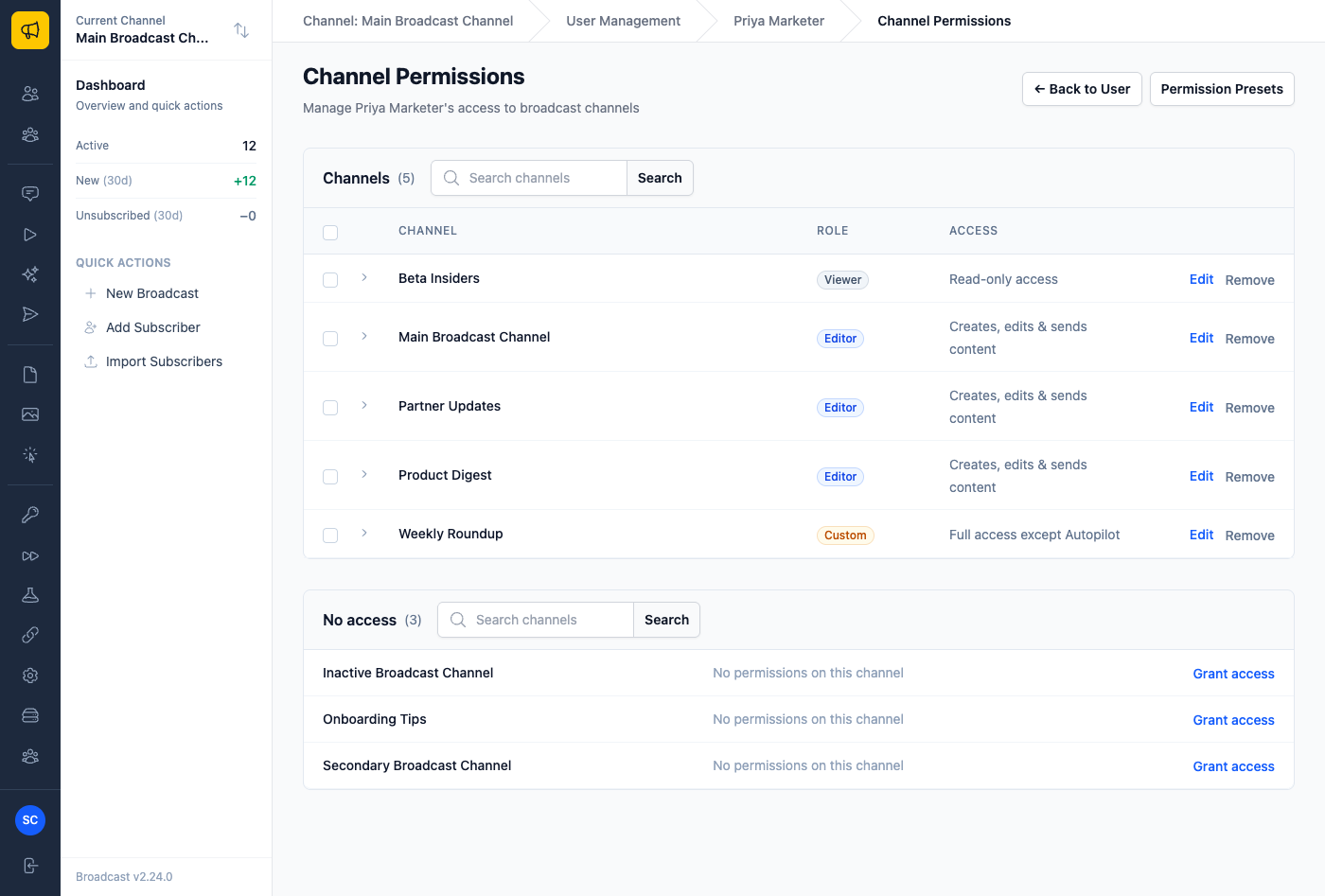 The Channel Permissions page showing one row per channel with role badges like Editor, Viewer, and Custom, plain-language access summaries, and a separate No access table with Grant access links