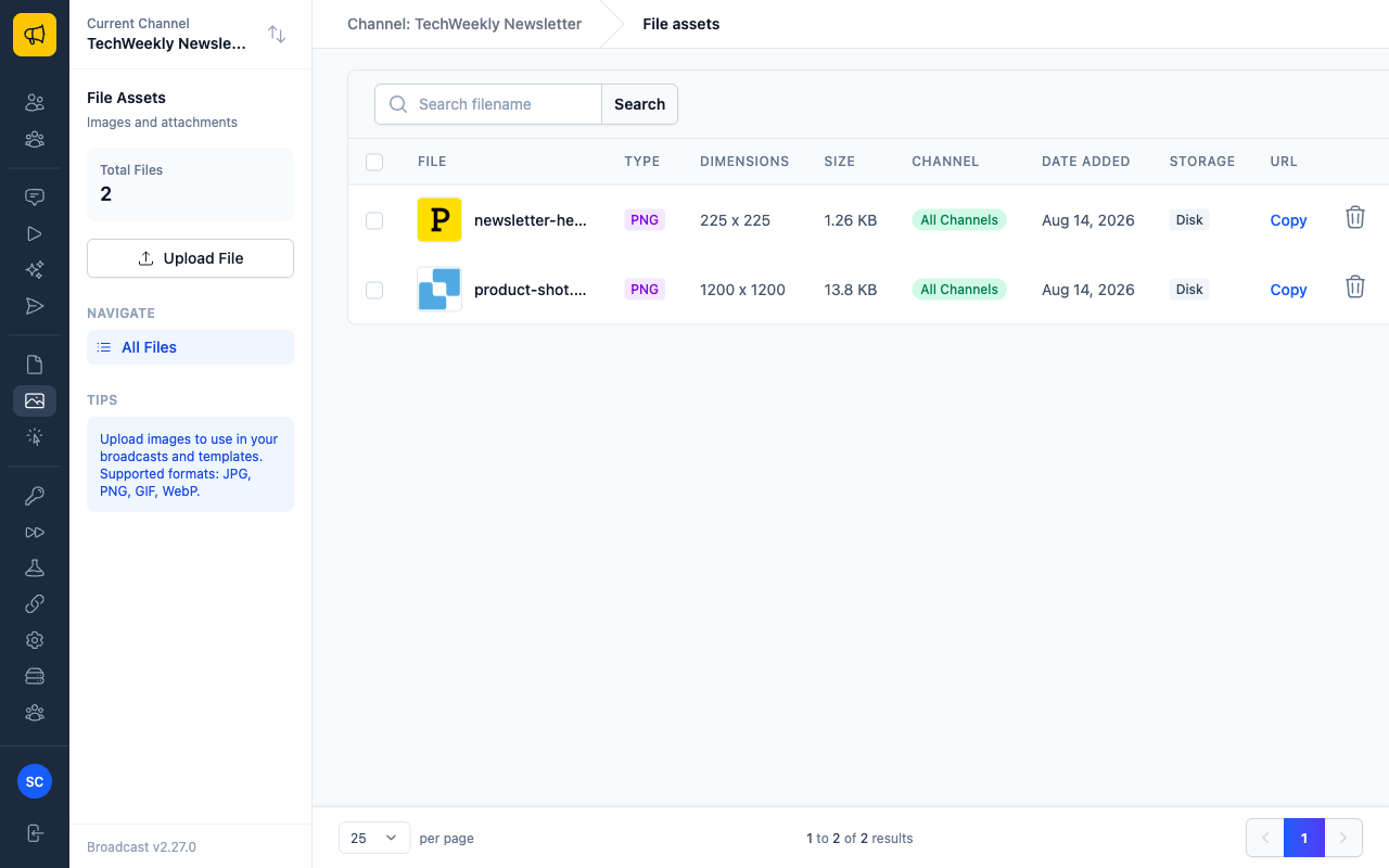 File Assets library listing two uploaded images with type, dimensions, size, channel, and URL columns